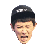 exo Sticker