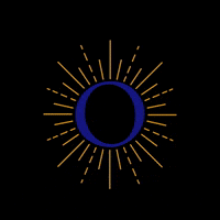 hopestpete hope hopechurch hopestpete GIF