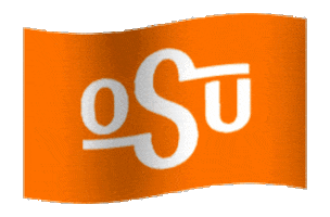graphics college STICKER