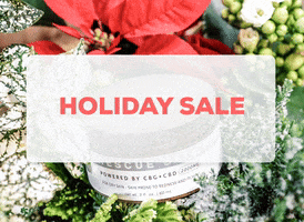 Holiday Sale 30Off GIF by Willow Kay