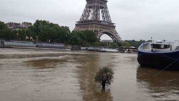 Seine Waters Rising at Iconic Paris Landmarks