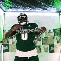 Ncaa Football GIF by USF Athletics