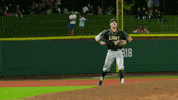 celebration win GIF by GoArmyWestPoint