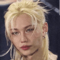 Skz Elf GIF