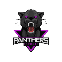 PanthersEsports twitch live gamers panthers Sticker