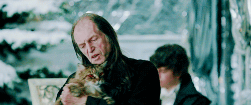 harry potter cat GIF