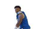 Take On Me Football Sticker by Delaware Blue Hens