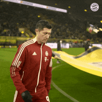 Robert Lewandowski Football GIF by FC Bayern Munich