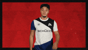 Arminia Bielefeld Football GIF by Bundesliga