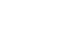 Teamlsf Sticker by Love Sweat Fitness