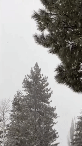 Storm System Brings Rain and Snow to Northern California