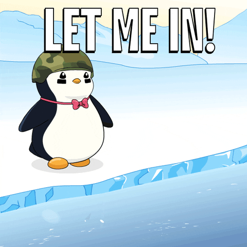 Let Us In GIF by Pudgy Penguins