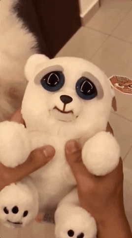Video gif. Person squeezes a toy white bear, transforming the bear's cute face into a vicious, toothy expression. We pan over to a similarly sized white Pomeranian, whose belly gets squeezed in the same place, making a similar toothy snarl.