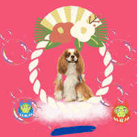 新年 Cavalierkingcharlesspaniel GIF