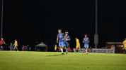 Usl2 Lbfc GIF by Lionsbridge FC