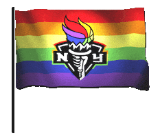 NYLiberty pride prideflag new york liberty brooklyn bridge Sticker