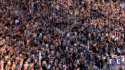 celebrate ligue 1 GIF by Toulouse Football Club