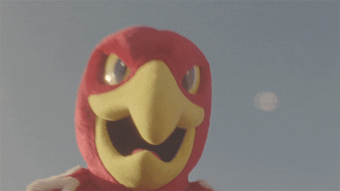 Mcgillu GIF by McGill University