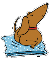 Sausage Dog Love Sticker by Raf Sinopoli