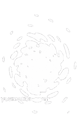 Animation Flowing Sticker by youmotion.com