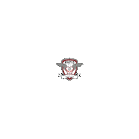 FCRapid rapid 1923 giulesti fzr Sticker