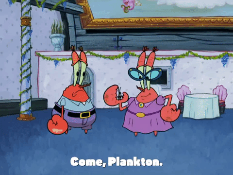season 4 enemy in-law GIF by SpongeBob SquarePants