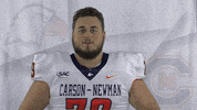 Carson Newman Football GIF by Carson-Newman Athletics
