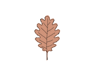 Fall Autumn Sticker