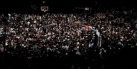 Sport Basketball GIF by UCF Knights