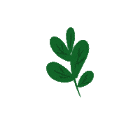 flower leave Sticker