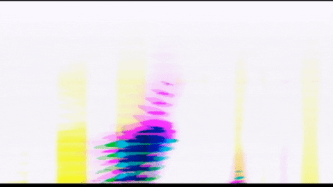 Video Art GIF by cskonopka