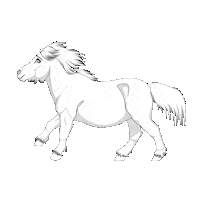 Horse Cheval Sticker