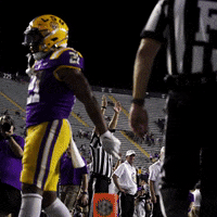 Lsu Football Win GIF by LSU Tigers