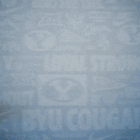 Brigham Young Byu Baseball GIF by BYU Cougars