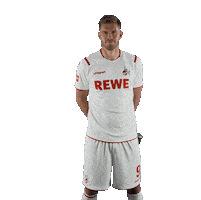 1 Fc Cologne Bundesliga Sticker by 1. FC Köln