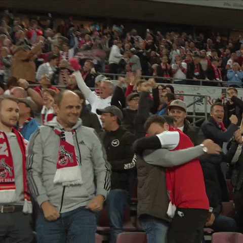 1 Fc Cologne Football GIF by 1. FC Köln