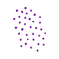 Hsu Purple Dots Sticker by Utah Humane