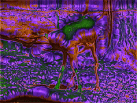 MFDtheArtist trippy animal colorful houston GIF