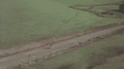 Music Video GIF