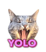 ida fladen yolo Sticker by Splay Norge