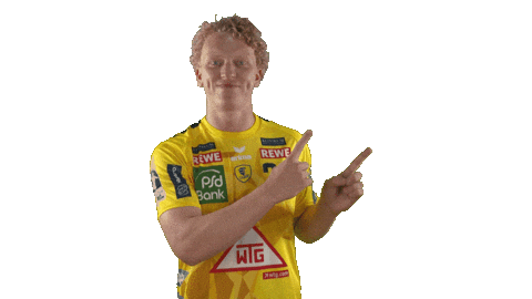 Handball-Bundesliga Handball Sticker by LIQUI MOLY HBL