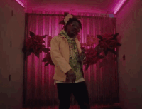 Wild Irish Roses GIF by Interscope Records