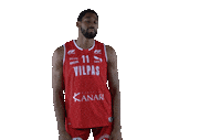 Basket_fi sports basketball hoops vikings Sticker