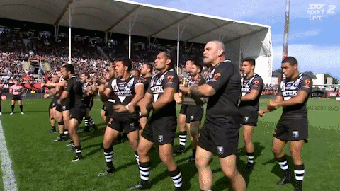 world cup league GIF by NRL