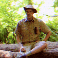 Wilderness GIF by Four Rest Films
