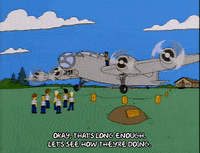 the simpsons episode 25 GIF