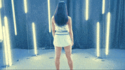 North Carolina GIF by UNC Tar Heels