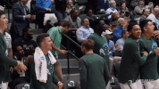 men's basketball GIF by GreenWave