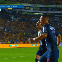 celebration GIF by Club America