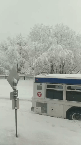 Bus Driver Struggles as Foot of Snow Falls on Minneapolis